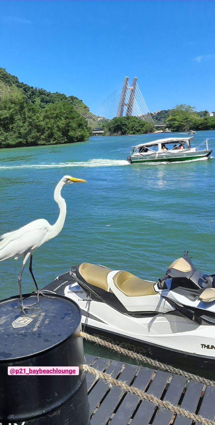 Experiência Ilha da Gigóia